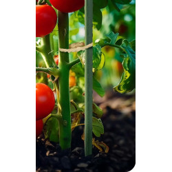 Sera de gradina Plonos 4973-B (Green) Thumb