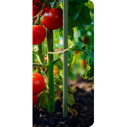 Sera de gradina Plonos 4977-B (White) Thumb