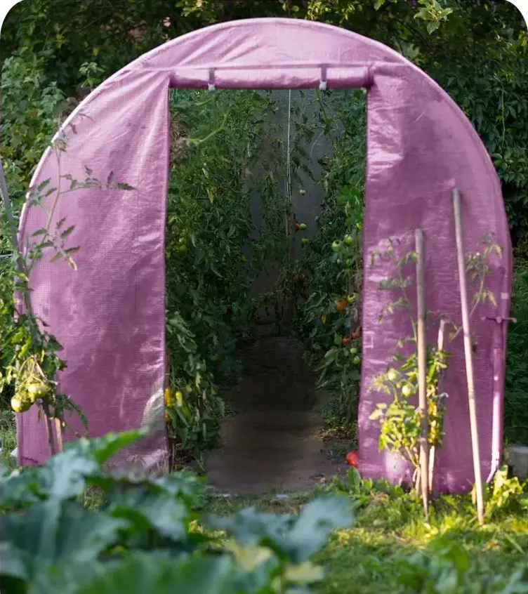 Sera de gradina Plonos 4978-B (Pink) - 9