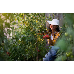 Sera de gradina Plonos 4978-B (Pink) Thumb