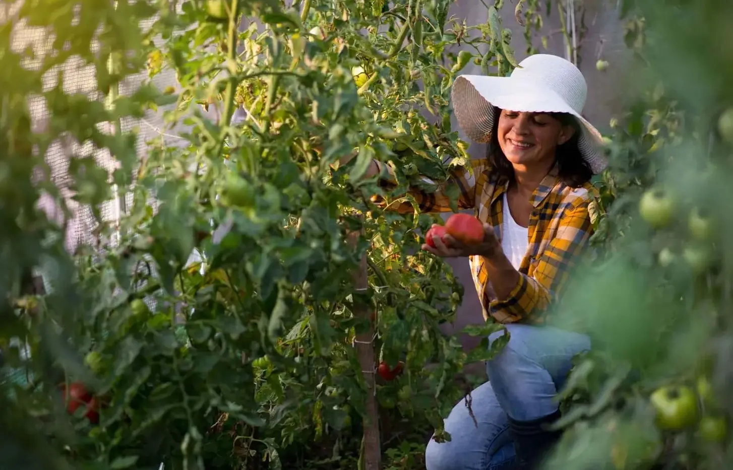 Sera de gradina Plonos 4978-B (Pink) - 10