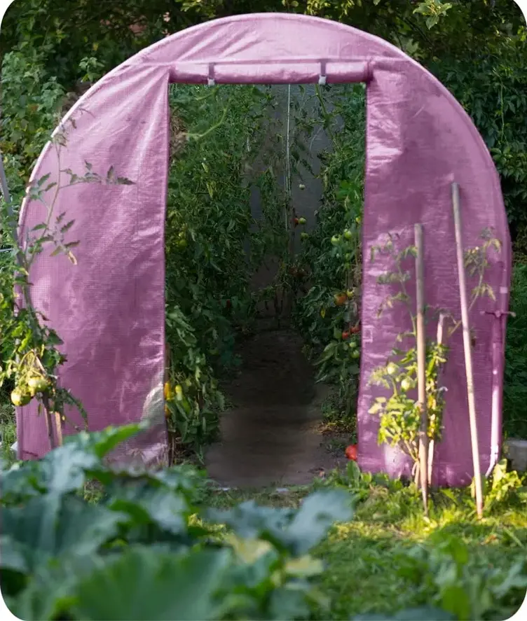 Садовая теплица Plonos 4979-B (Pink) - 11