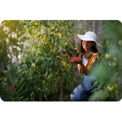 Садовая теплица Plonos 4979-B (Pink) Thumb