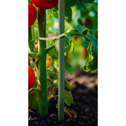 Садовая теплица Plonos 4979-B (Pink) Thumb