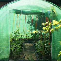 Sera de gradina Springos GT0005 6x3x2m (Green) Thumb