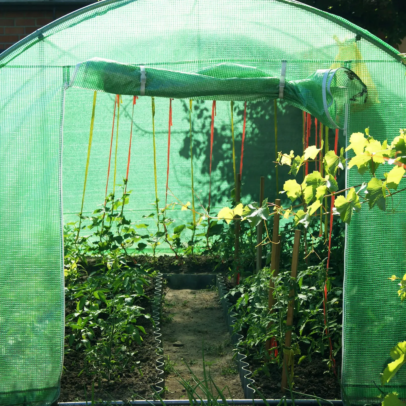 Sera de gradina Springos GT0005 6x3x2m (Green) - 10