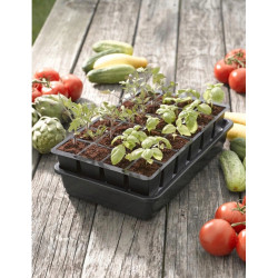 Mini sera pentru rasaduri Strend Pro Herrison P2001 (Green/Black) Thumb