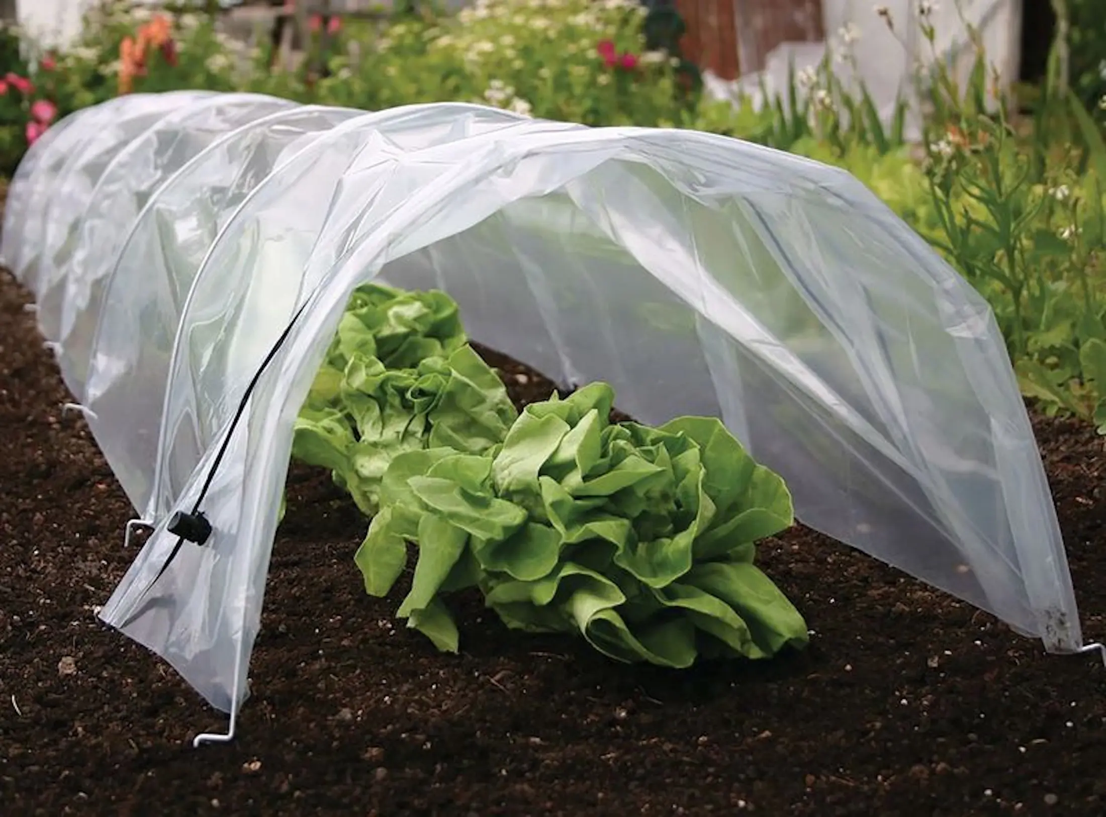 Парник Strend Pro Greenhouse 2173635 (White) - 3