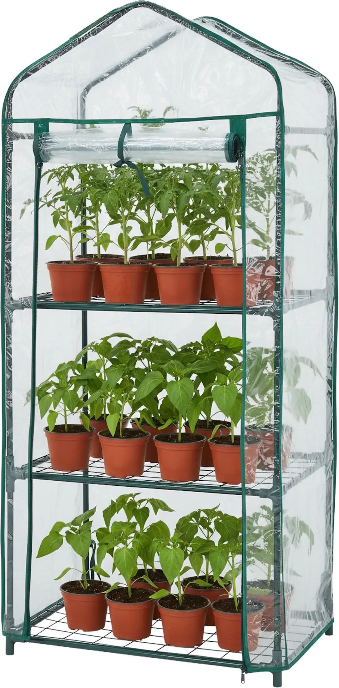 Парник Strend Pro Greenhouse 2173647 (Green/Transparent) - 2
