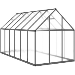 Sera de gradina VidaXL 3266328 334x169x195 (Anthracite) Thumb