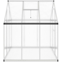 Sera de gradina VidaXL 4005828 169x169x195 (Silver) Thumb