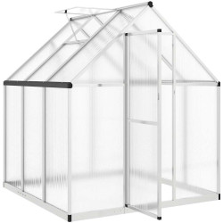 Sera de gradina VidaXL 4005828 169x169x195 (Silver) Thumb