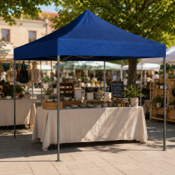 Pavilion de gradina Lean 29331 (Blue) Thumb