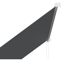 Маркиза выдвижная Outsunny 840-238V00CG (Dark Grey) Thumb
