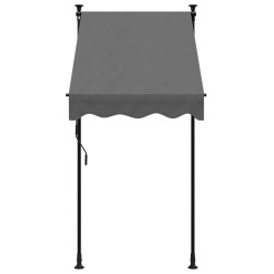 Маркиза выдвижная VidaXL 368736 100x150 (Anthracite) Thumb