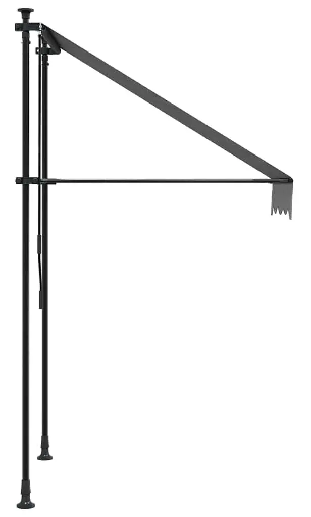 Маркиза выдвижная VidaXL 368736 100x150 (Anthracite) - 3