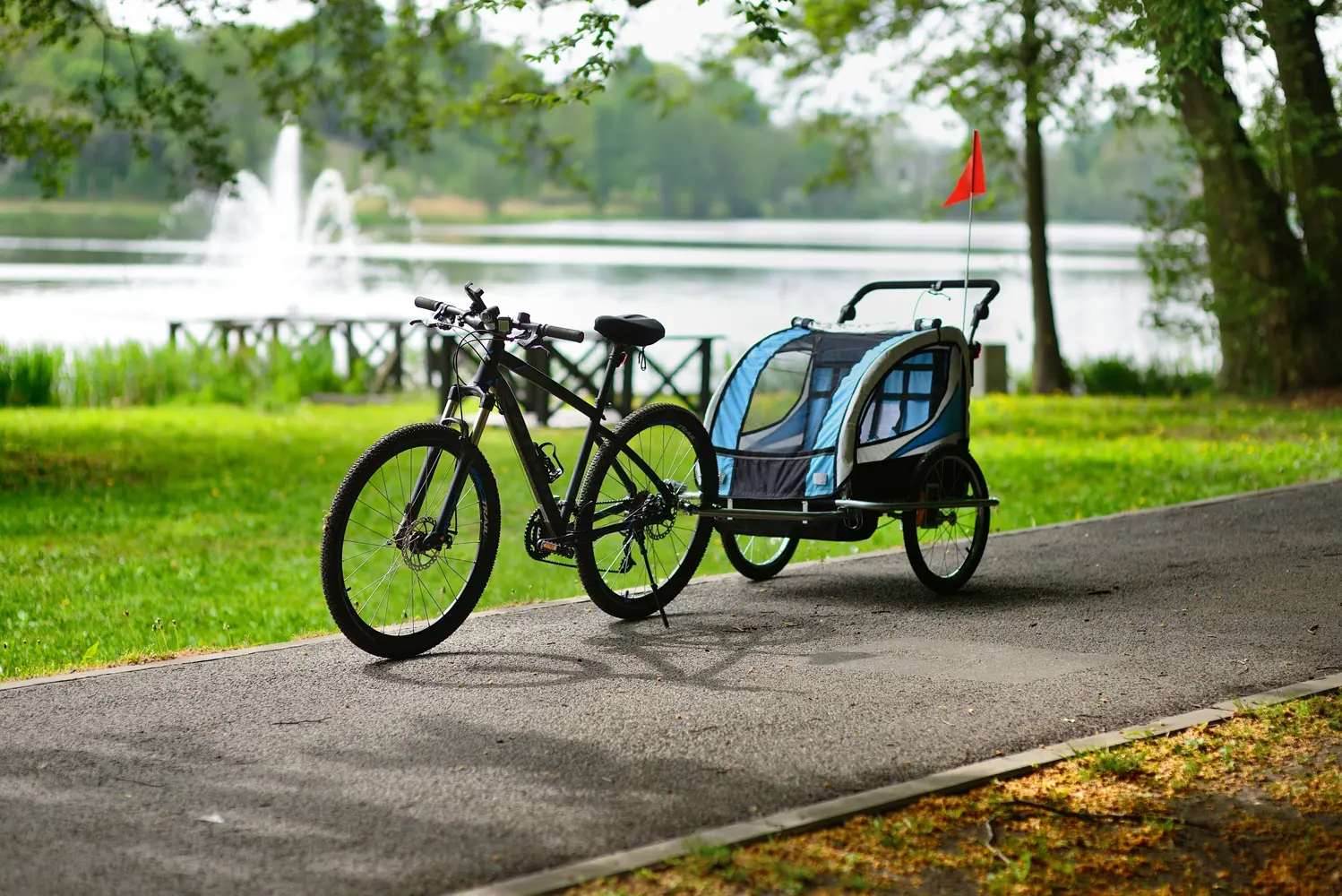 Прицеп велосипедный FunFit Kids 3062 (Blue)