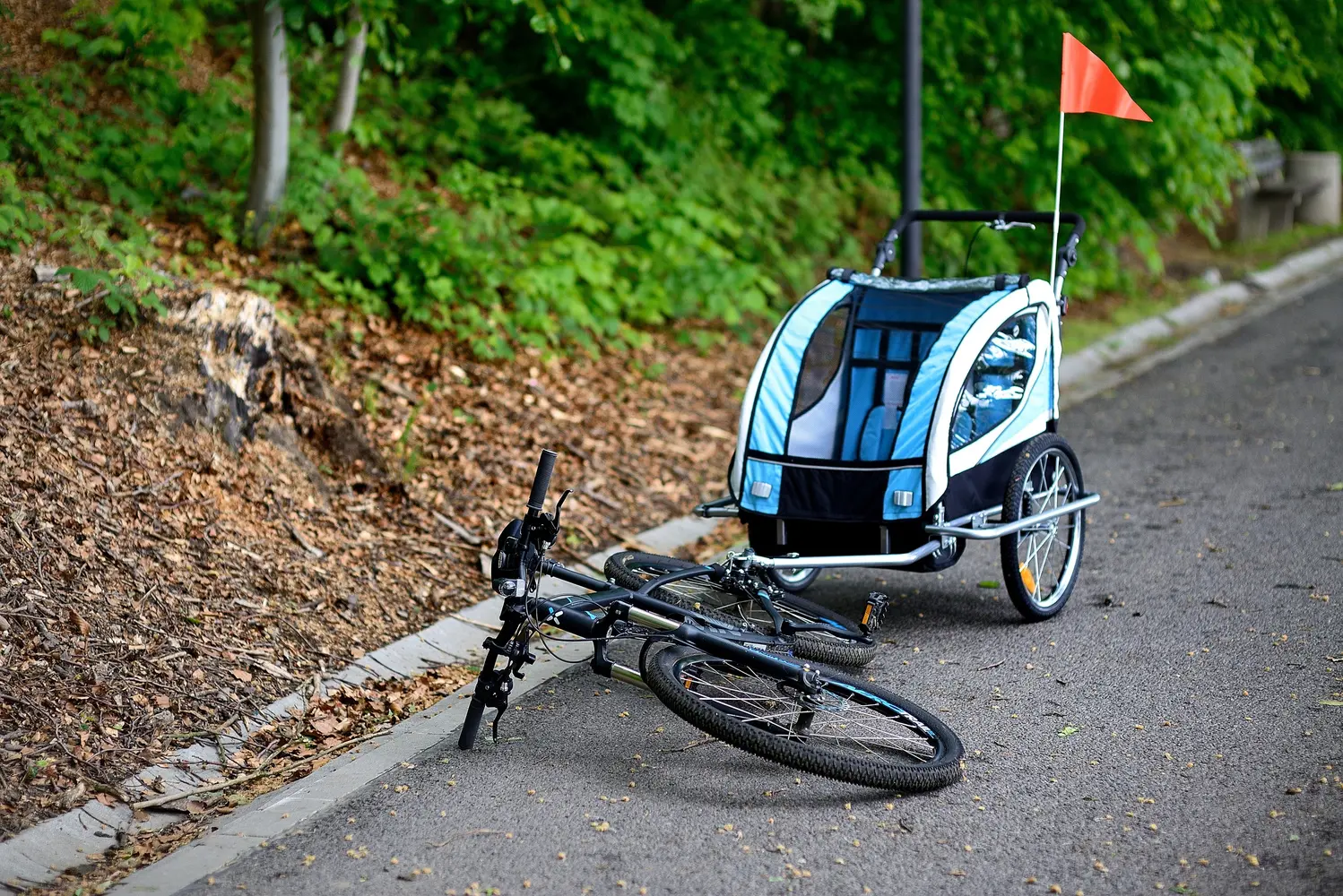 Прицеп велосипедный FunFit Kids 3062 (Blue)