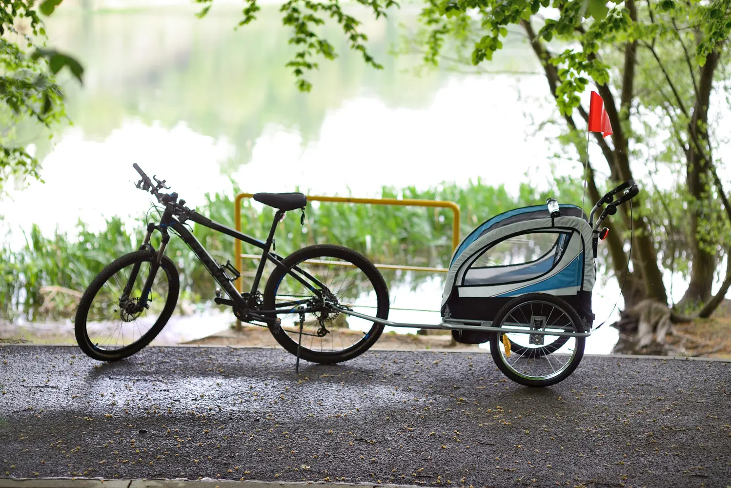 Прицеп велосипедный FunFit Kids 3062 (Blue)