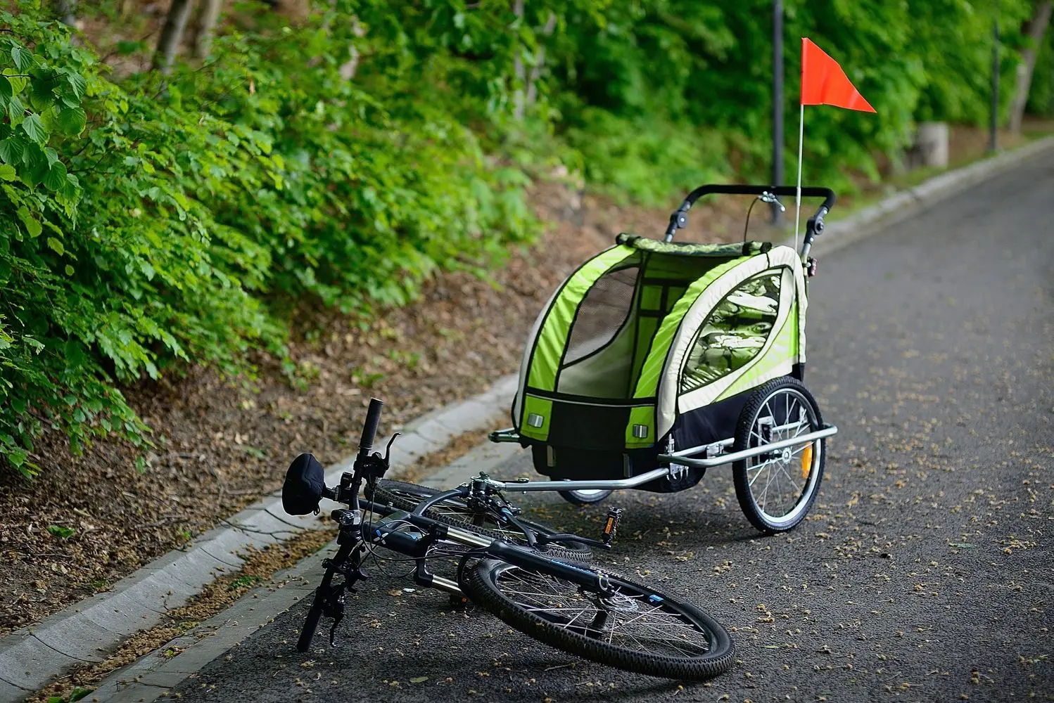 Remorca pentru bicicleta FunFit Kids 3063 (Green)