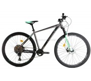 Bicicleta Crosser Solo 29 19 21S Shimano + Hydr Logan (Gray/Green)