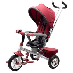 Трехколесный велосипед 3в1 Baby Mix Typhoon 360 44989 (Burgundy)