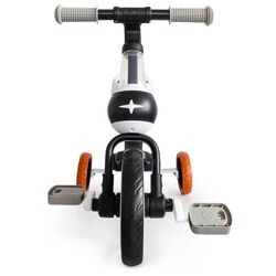 Трехколесный велосипед 4в1 Ecotoys LC-V1311 (Black) Thumb