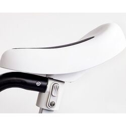 Трехколесный велосипед 4в1 Ecotoys LC-V1311 (Black) Thumb