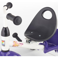 Трехколесный велосипед Kettler Funtrike Pablo (Purple/White) Thumb