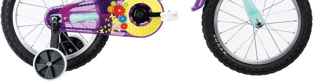 Bicicleta Dhs 1602 16 (Turcoaz) - 3