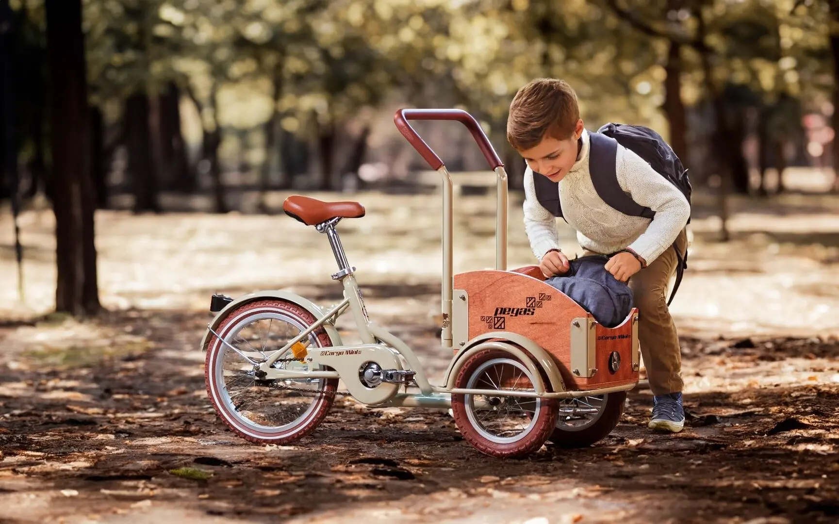 Велосипед Pegas Mini Cargo (Blue Commuter) - 3