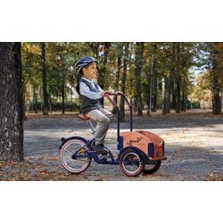 Bicicleta Pegas Mini Cargo (Emerald Green) Thumb