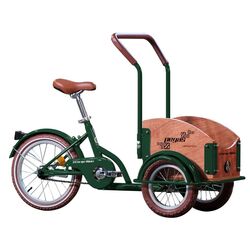 Bicicleta Pegas Mini Cargo (Emerald Green) Thumb