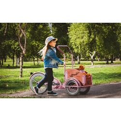 Велосипед Pegas Mini Cargo (Peony Pink) Thumb