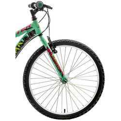 Bicicleta Polar Booster Plasma 24 (Turquoise) Thumb