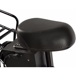 Bicicleta electrica Carpat E-Delivery C20314E (Black) Thumb