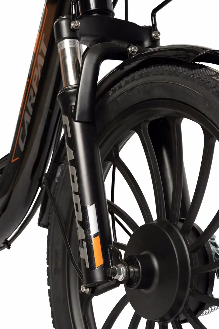 Bicicleta electrica Carpat E-Delivery C20314E (Black) - 9