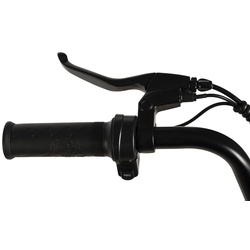 Bicicleta electrica Carpat E-Delivery C20314E (Red) Thumb