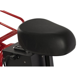 Bicicleta electrica Carpat E-Delivery C20314E (Red) Thumb