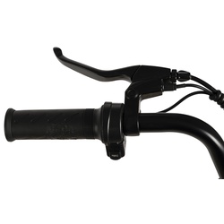 Bicicleta electrica Carpat E-Delivery C20314E (Yellow) Thumb
