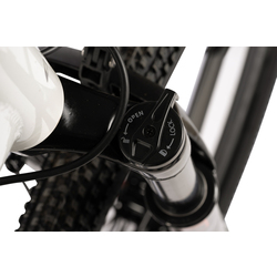 Bicicleta electrica Carpat Pioneer C27517E (White/Blue) Thumb