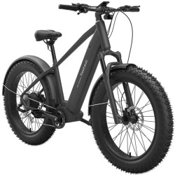 Bicicleta electrica 2in1 FreeBeat MorphRover (Black) Thumb