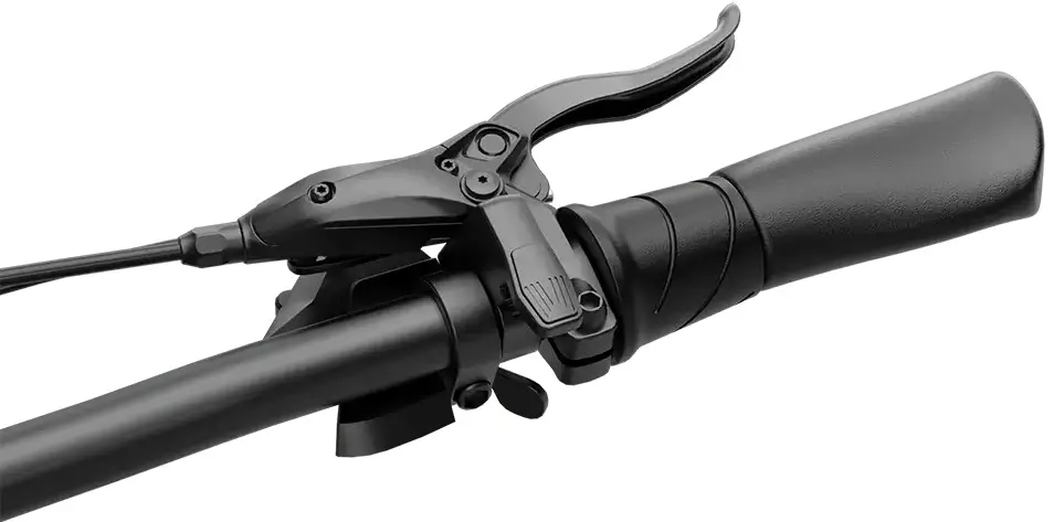 Bicicleta electrica 2in1 FreeBeat MorphRover (Black)