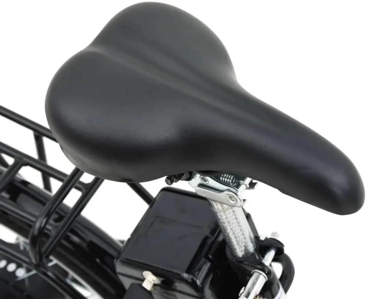 Bicicletă electrică VidaXL 90815 (Black) - 6