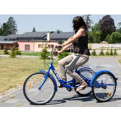 Bicicleta Enero 1036922 (Blue) Thumb