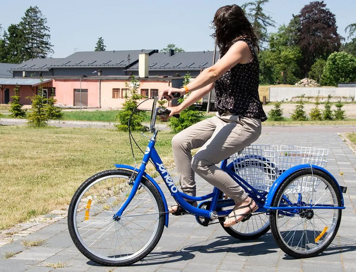 Bicicleta Enero 1036922 (Blue) - 4
