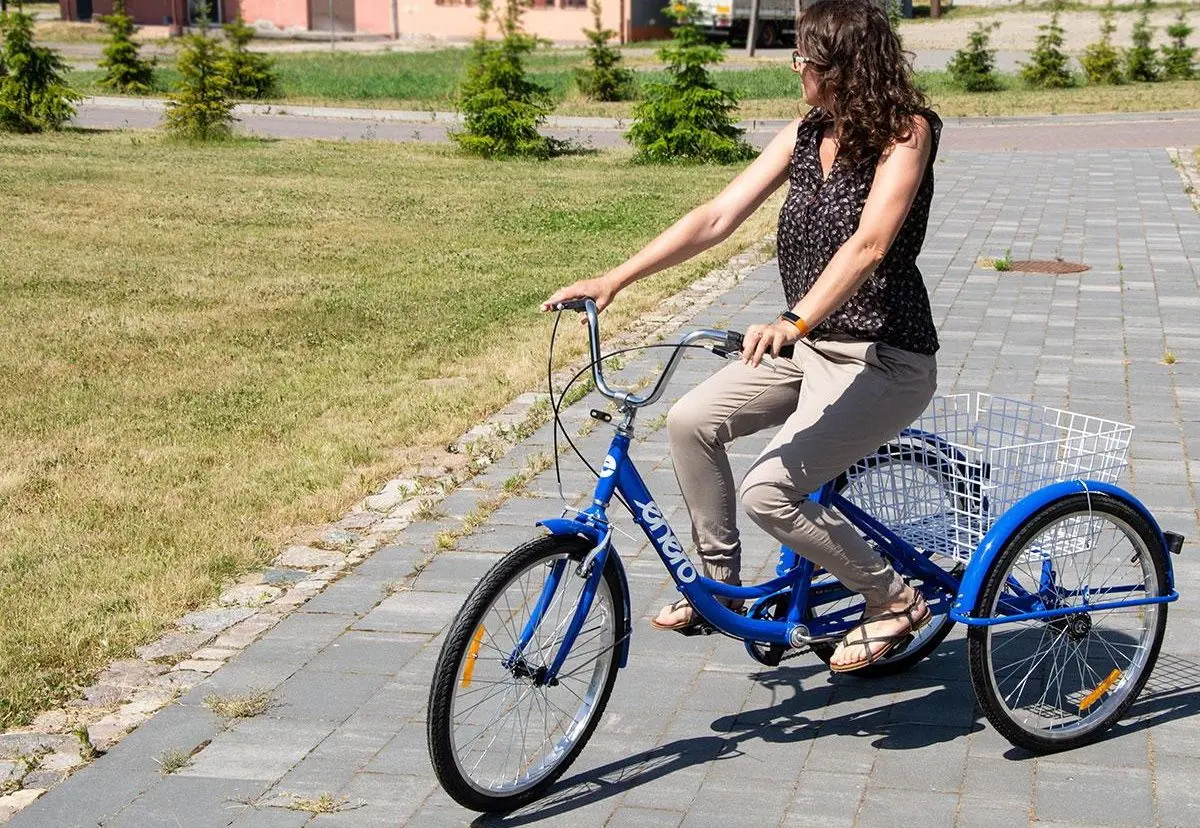 Bicicleta Enero 1036939 (Blue) - 8