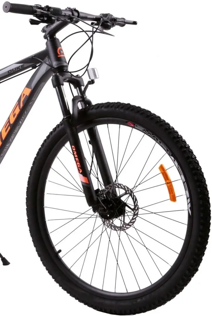 Bicicleta Omega Bikes Duke 29 - 3