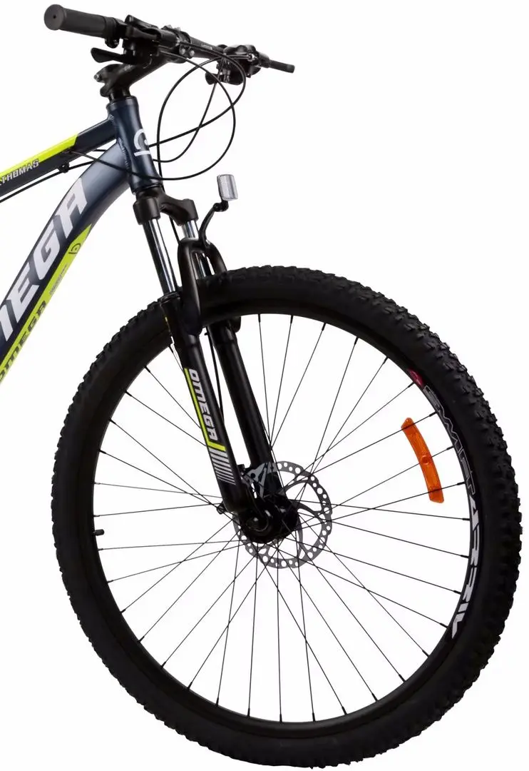 Bicicleta Omega Bikes Thomas 29 - 3