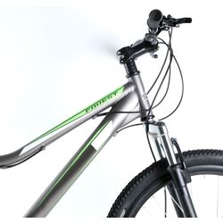 Bicicleta Stormer Forest R24 SKD-TY21 (Grey/Green) Thumb